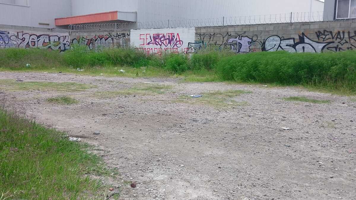 4 de 9
