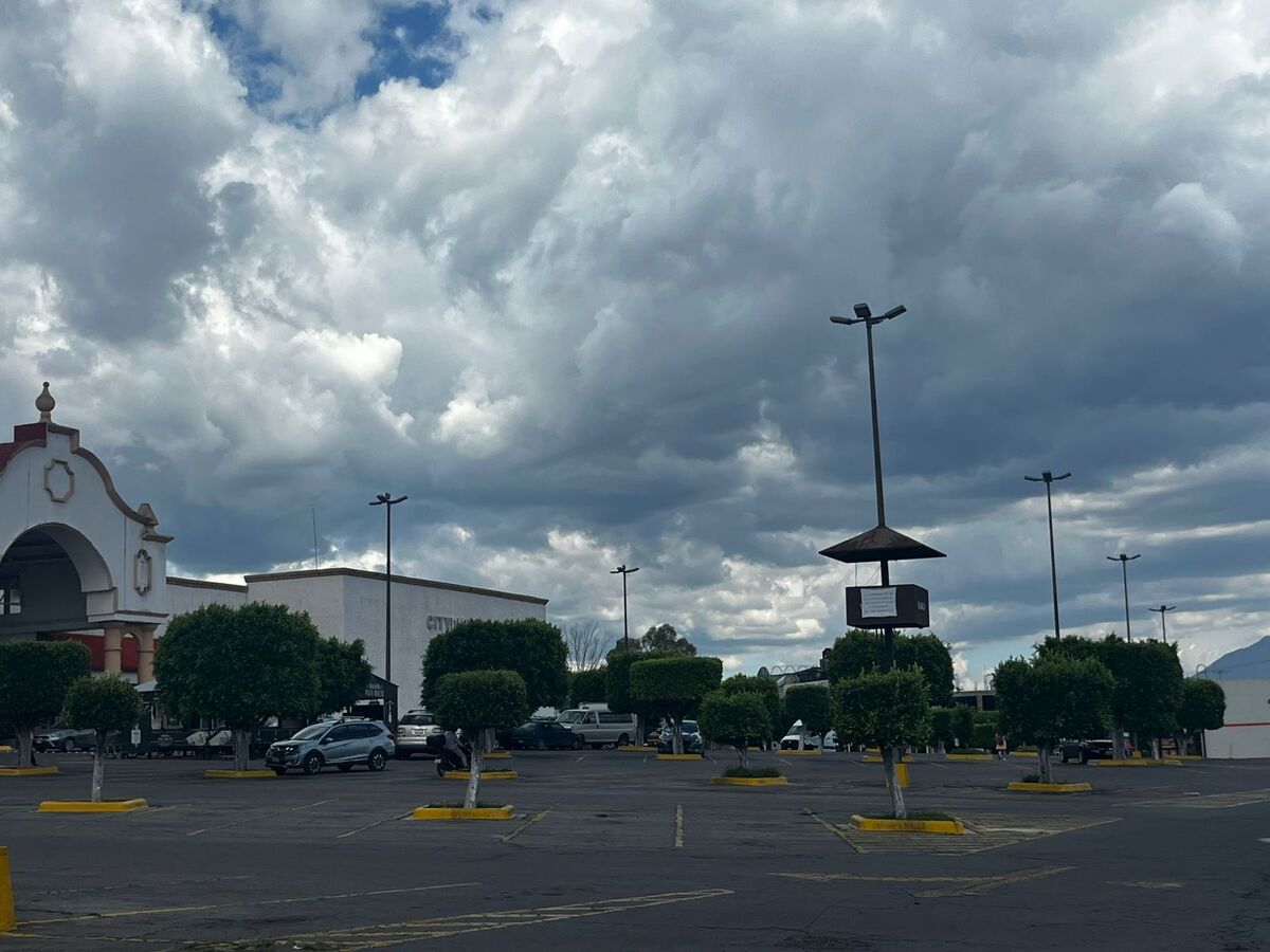 5 de 11