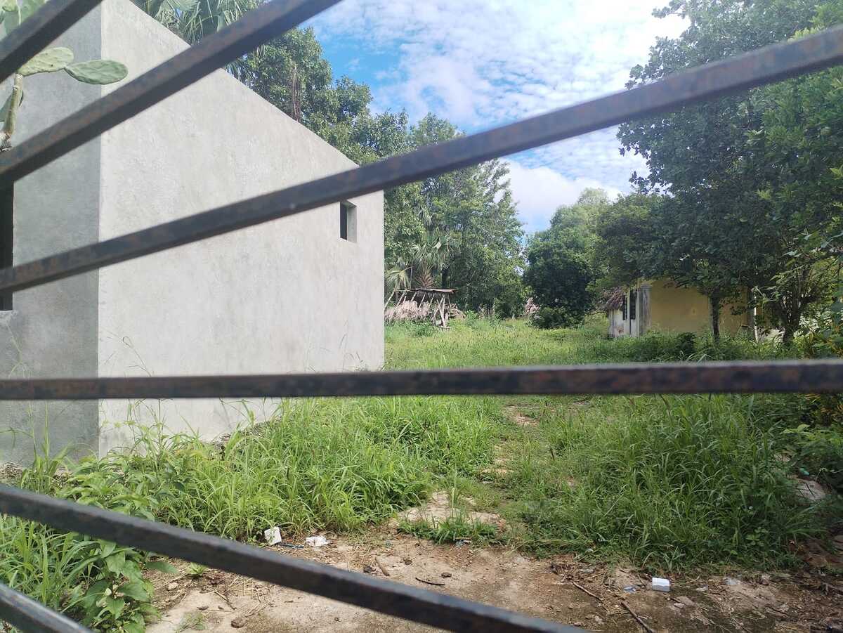 4 de 9: Construcción interna