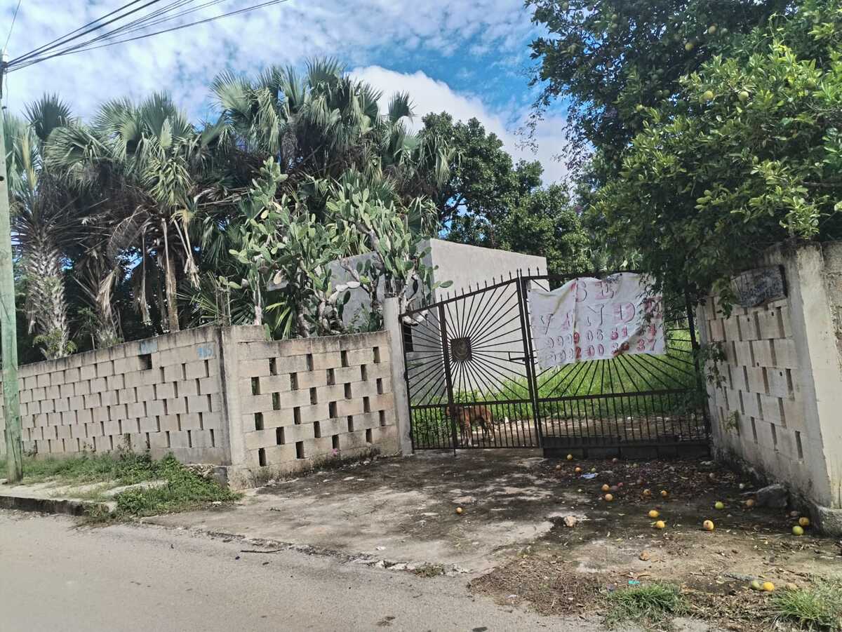 5 de 9: Entrada al predio
