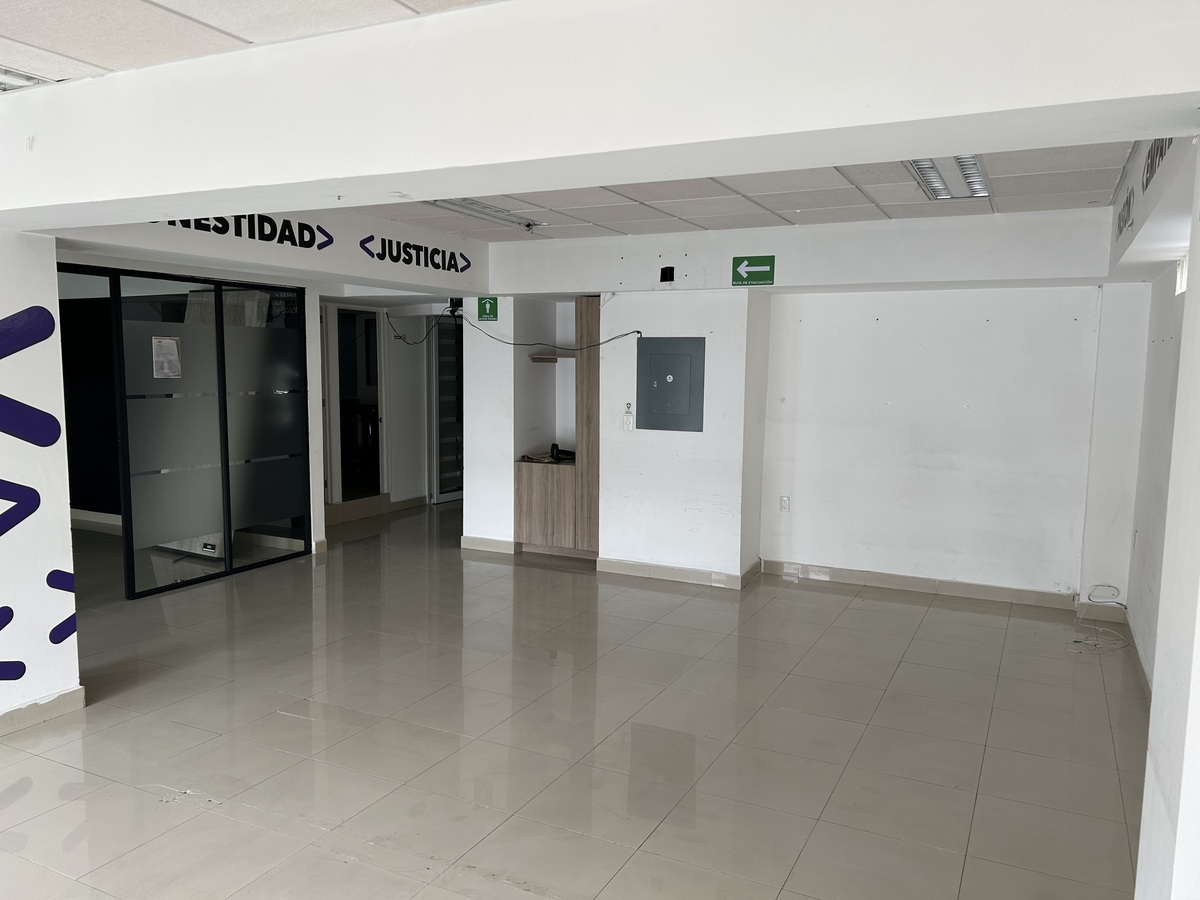 5 de 11