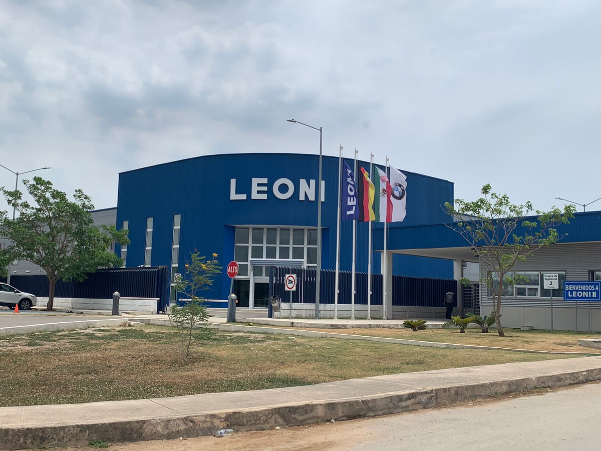 8 de 9