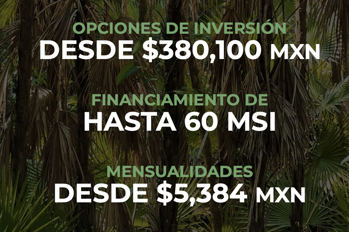 5 de 5