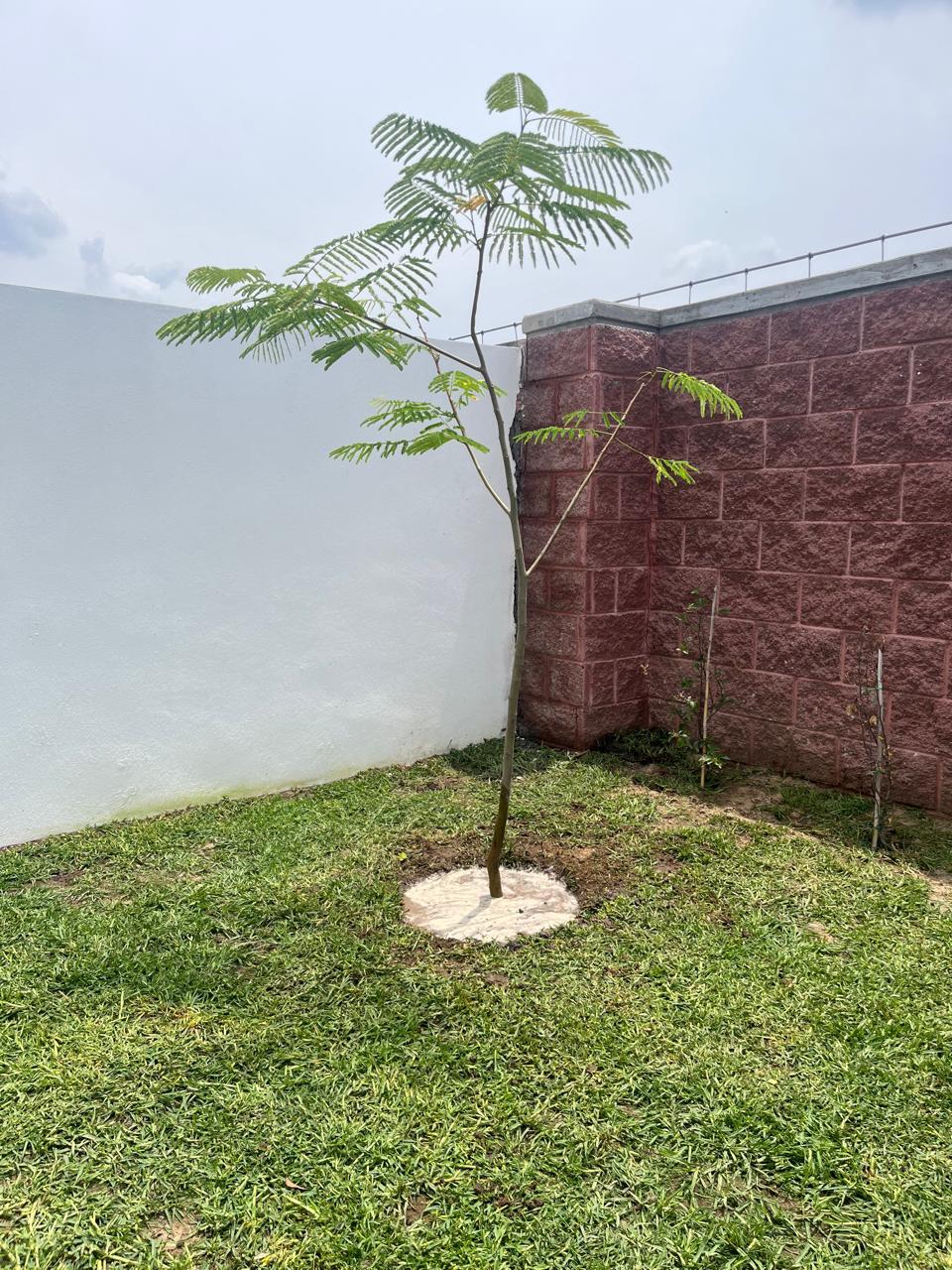 20 de 21