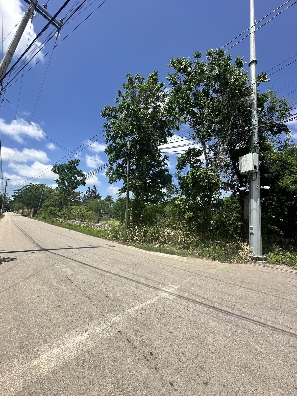 7 de 8