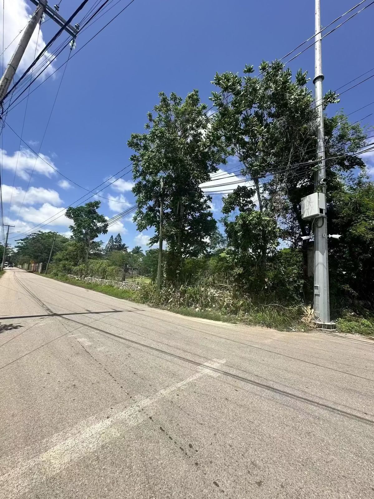 7 de 8