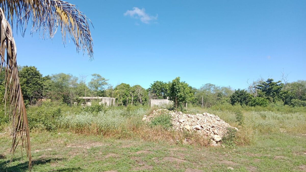20 de 22