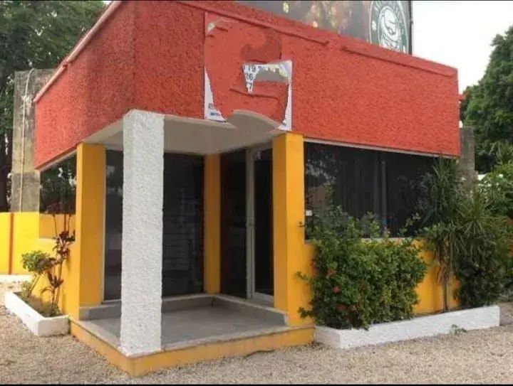 1 de 8