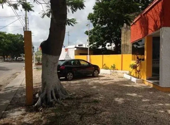 2 de 8