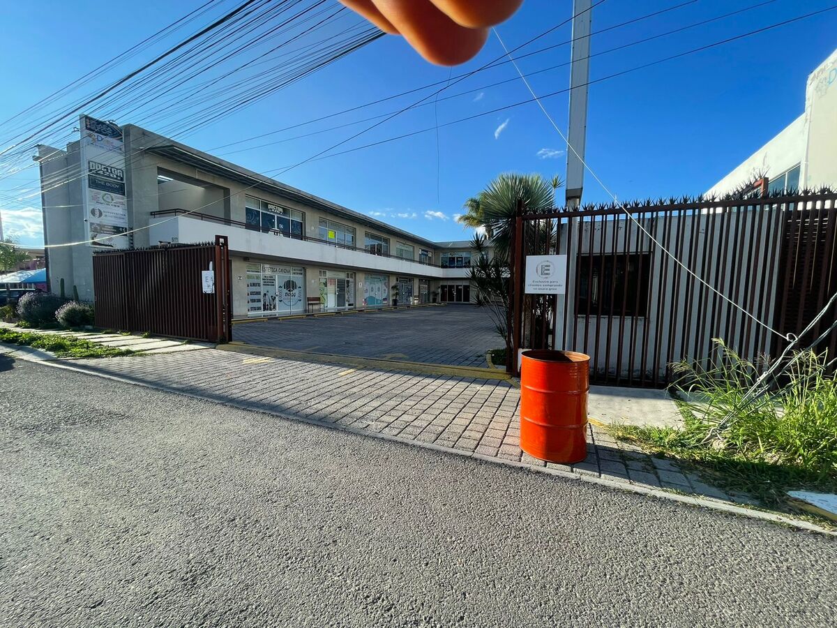 2 de 11