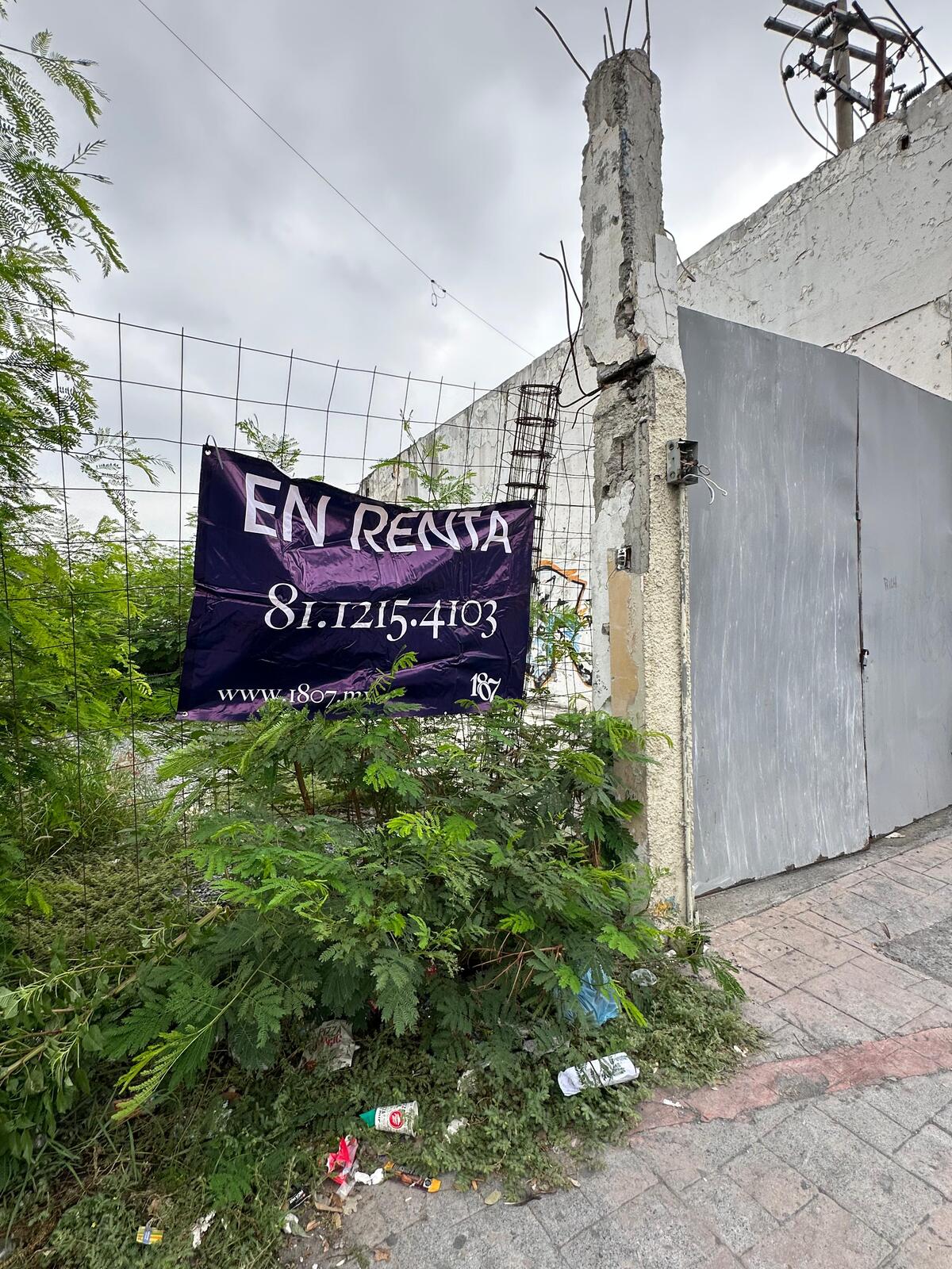 5 de 12