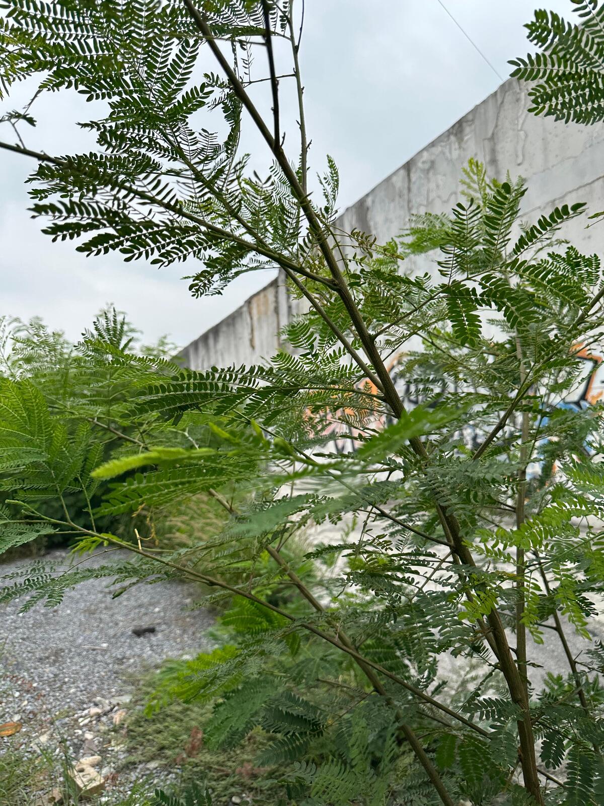 9 de 12
