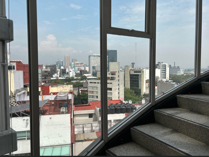 8 de 19