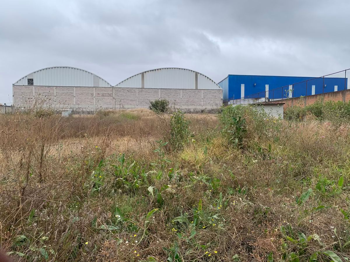 13 de 13: Vista Terreno posterior