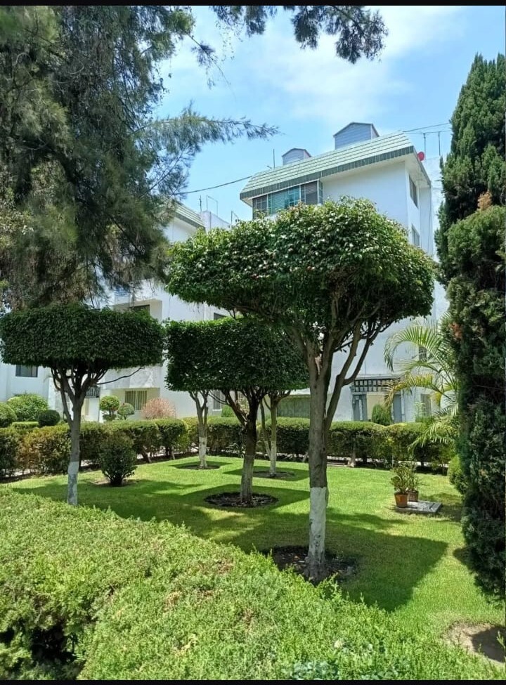 1 of 7: jardín con vista a edificio
