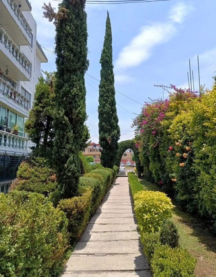 2 of 7: jardín , pasillo, vista lateral edificios.