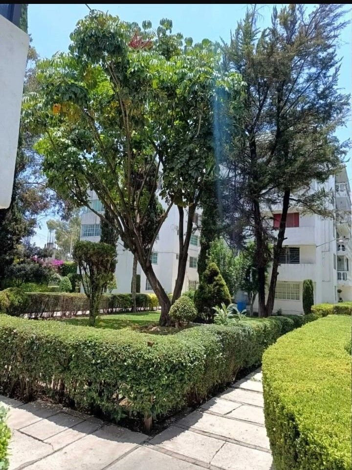 4 de 20: jardines  área común
