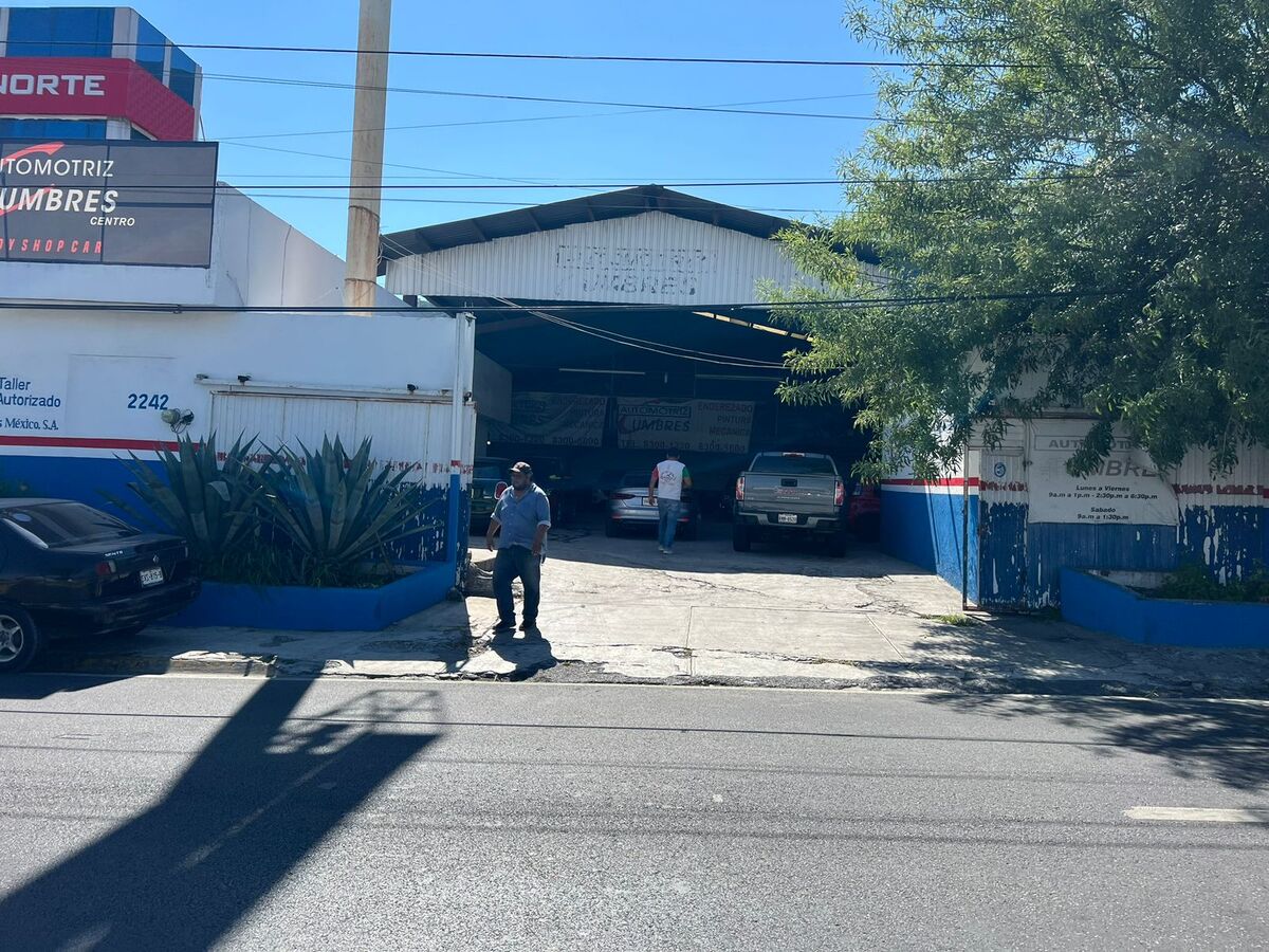 6 de 6