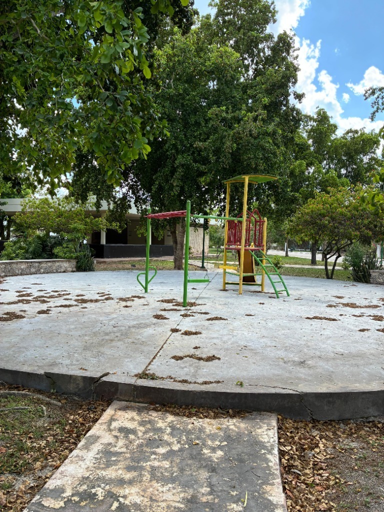 5 de 12