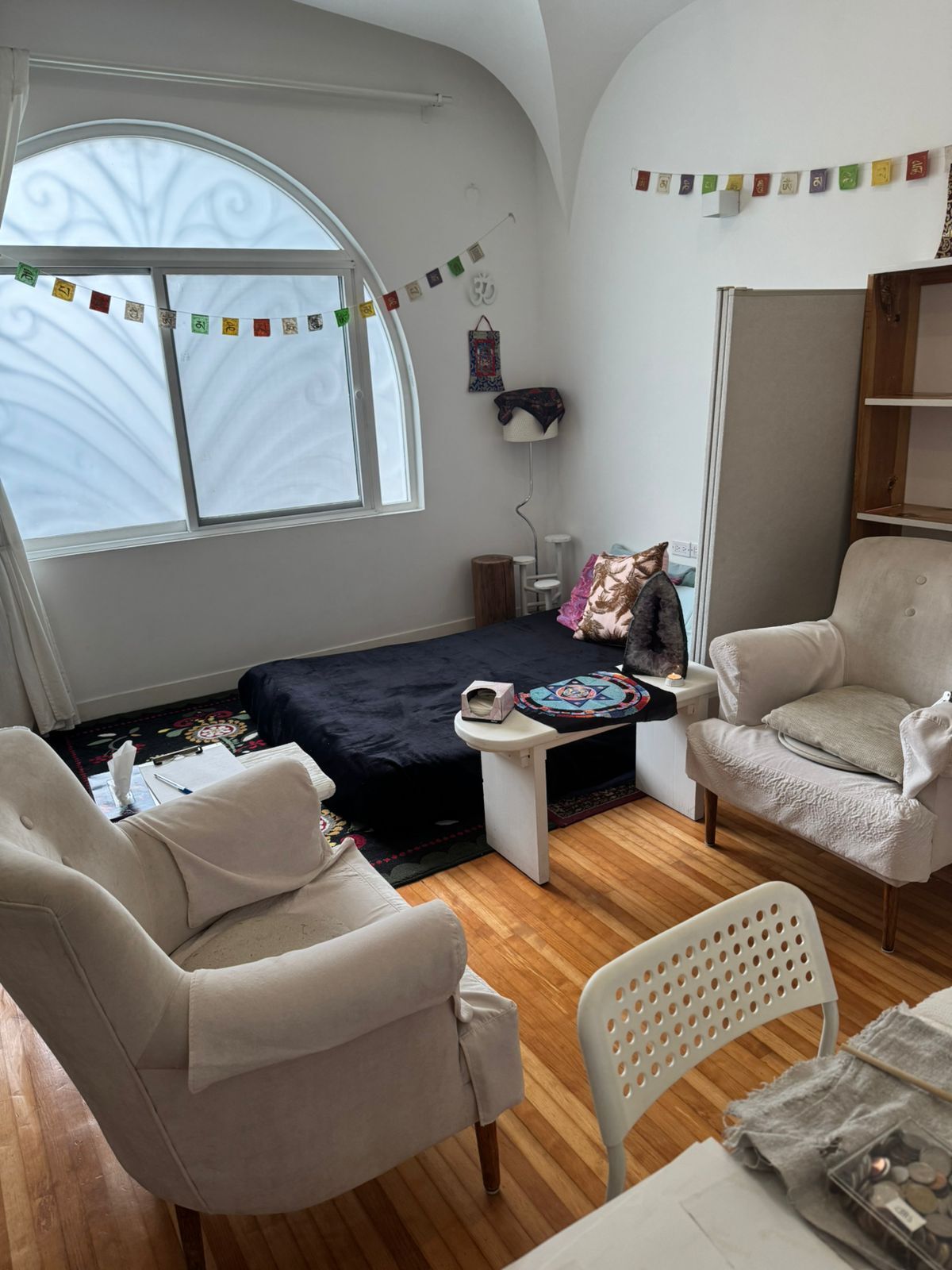 Venta Hermosa Para Inversionistas Casa Frente a Parque en Condesa - foto 3