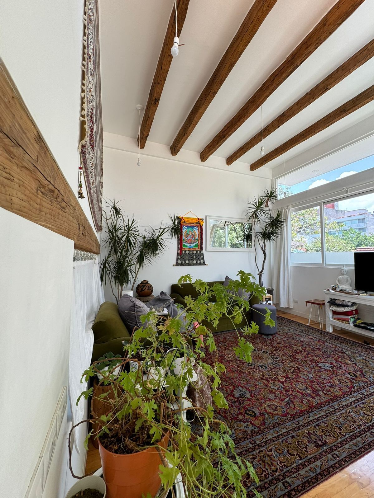 Venta Hermosa Para Inversionistas Casa Frente a Parque en Condesa - foto 1