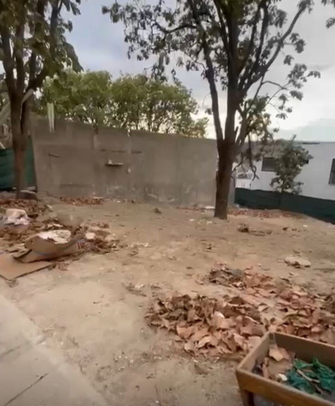 2 de 14