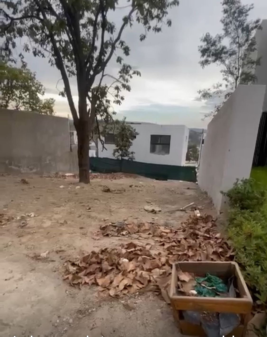 6 de 14