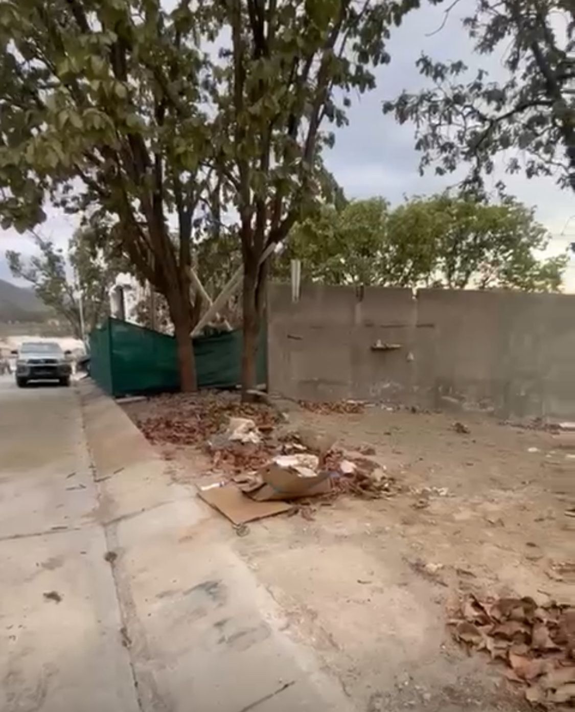 10 de 14