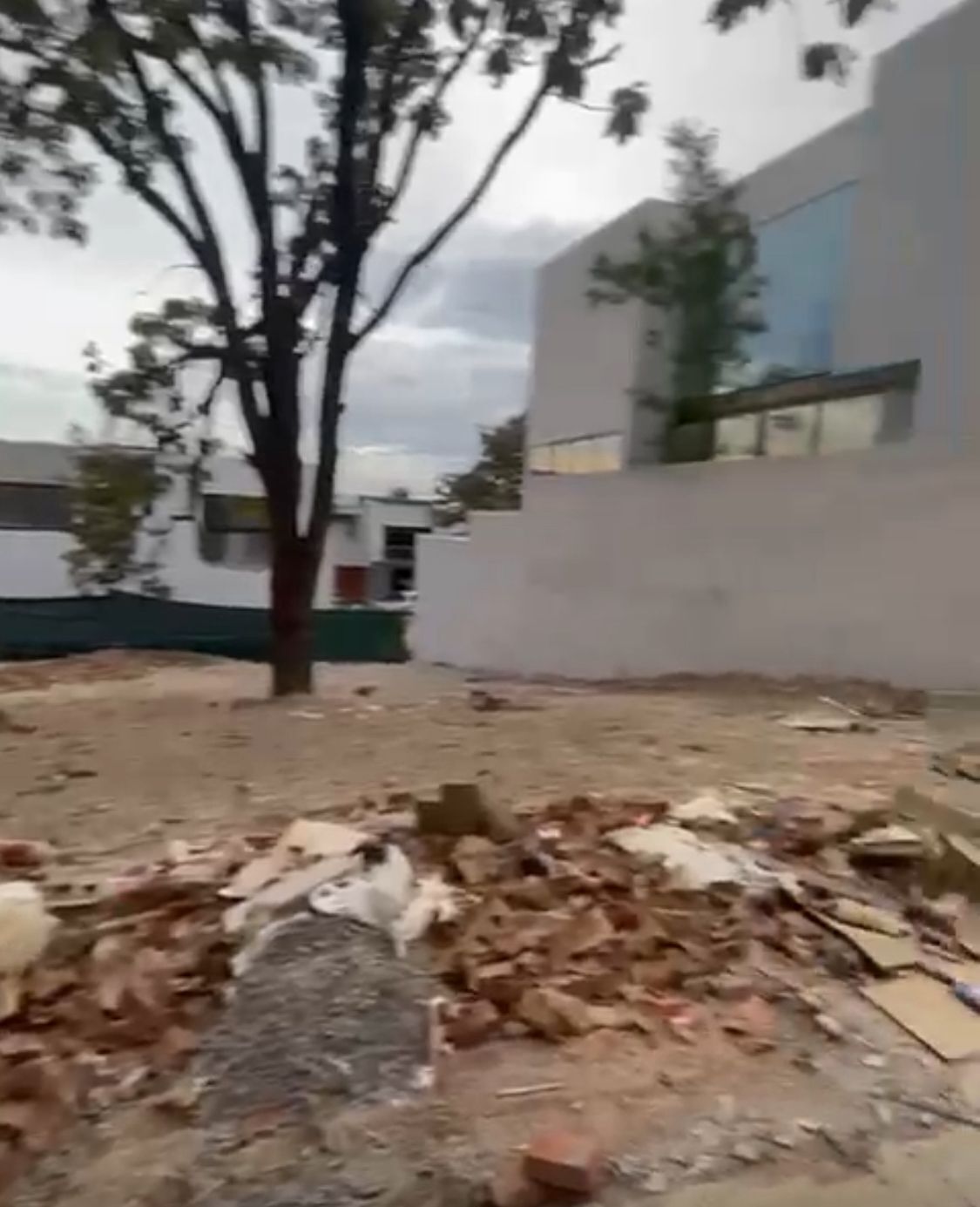 11 de 14