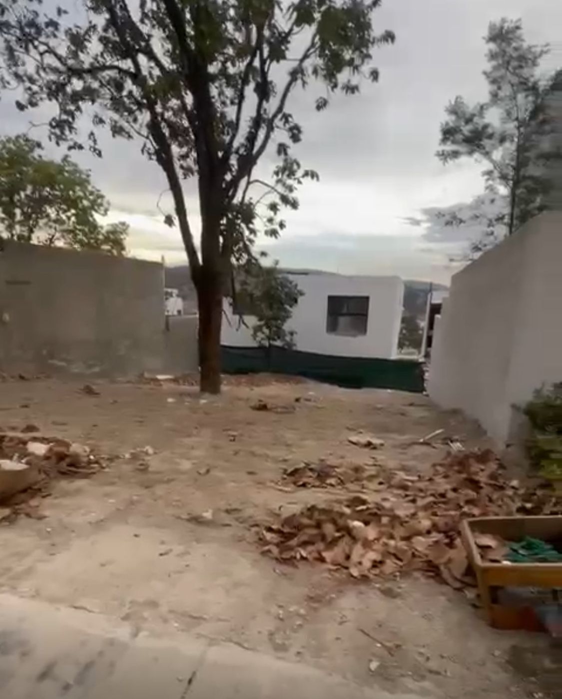 12 de 14