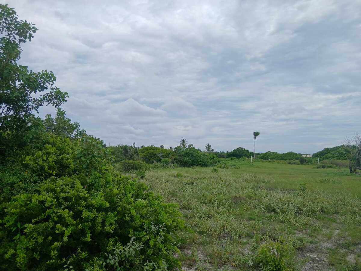 1 de 8