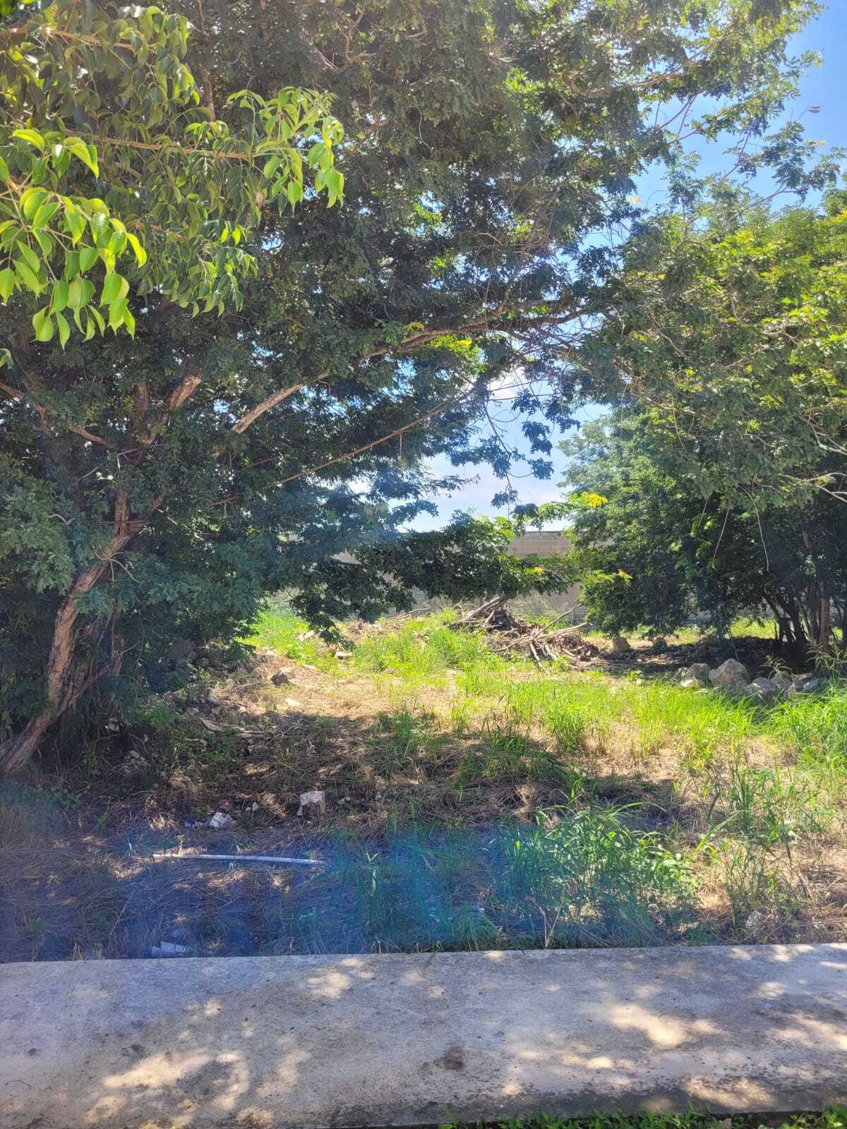 2 of 19