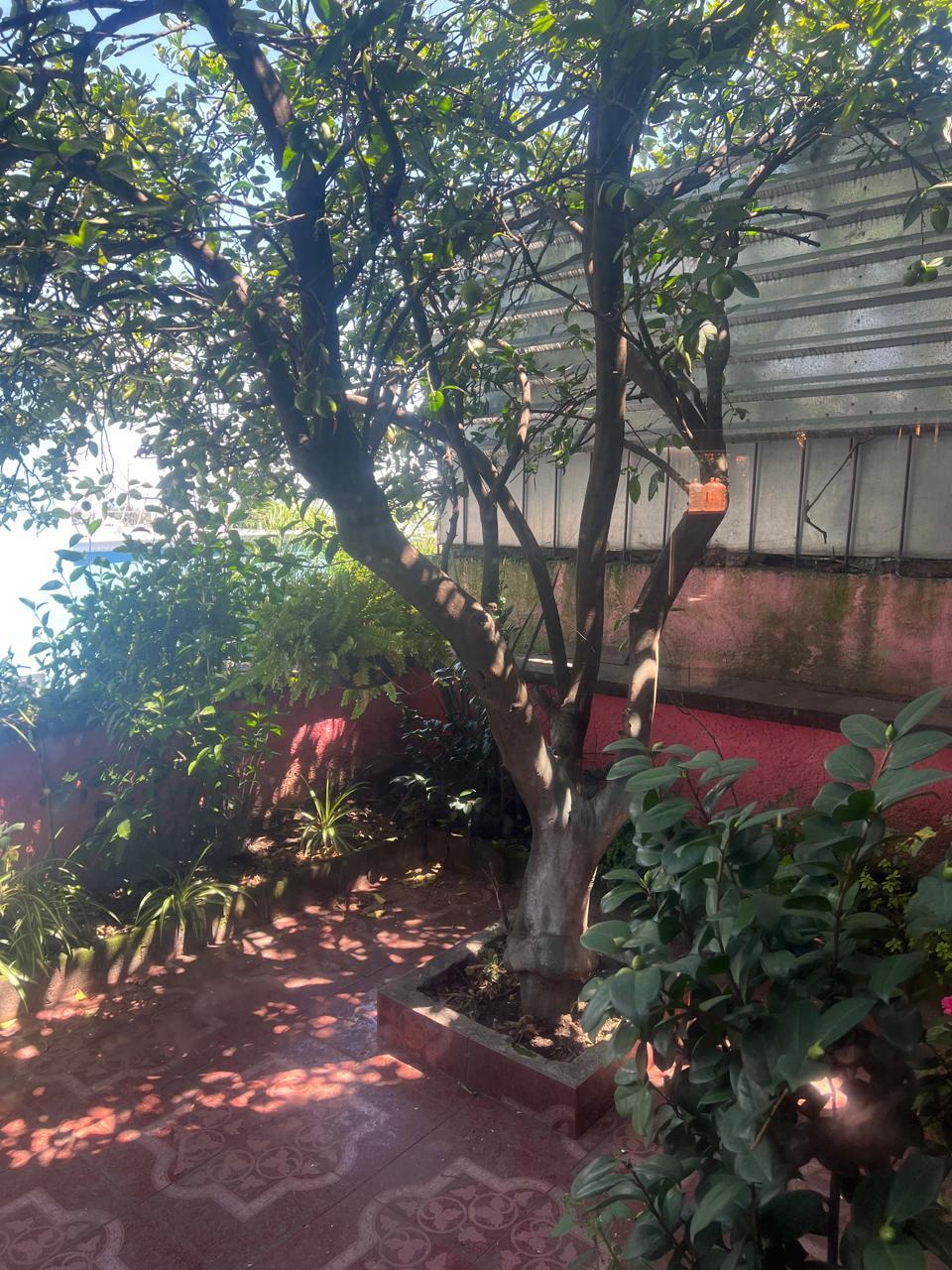 4 de 21