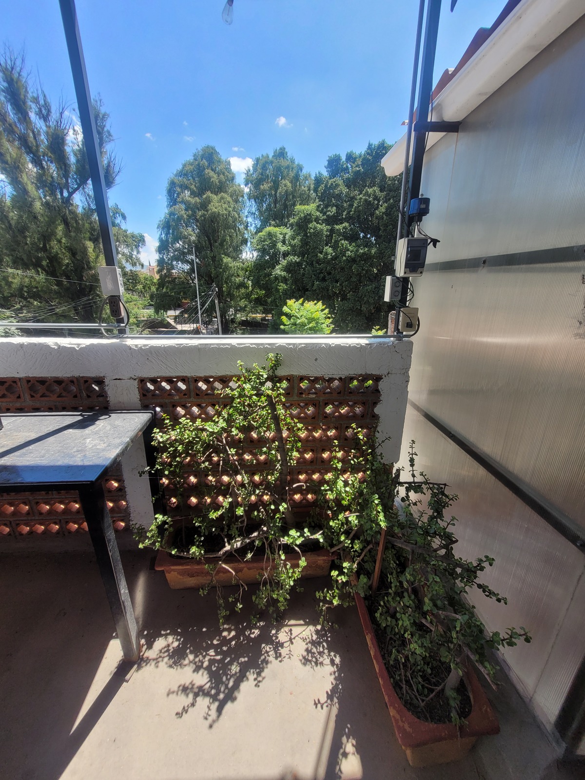 14 de 15: Terraza