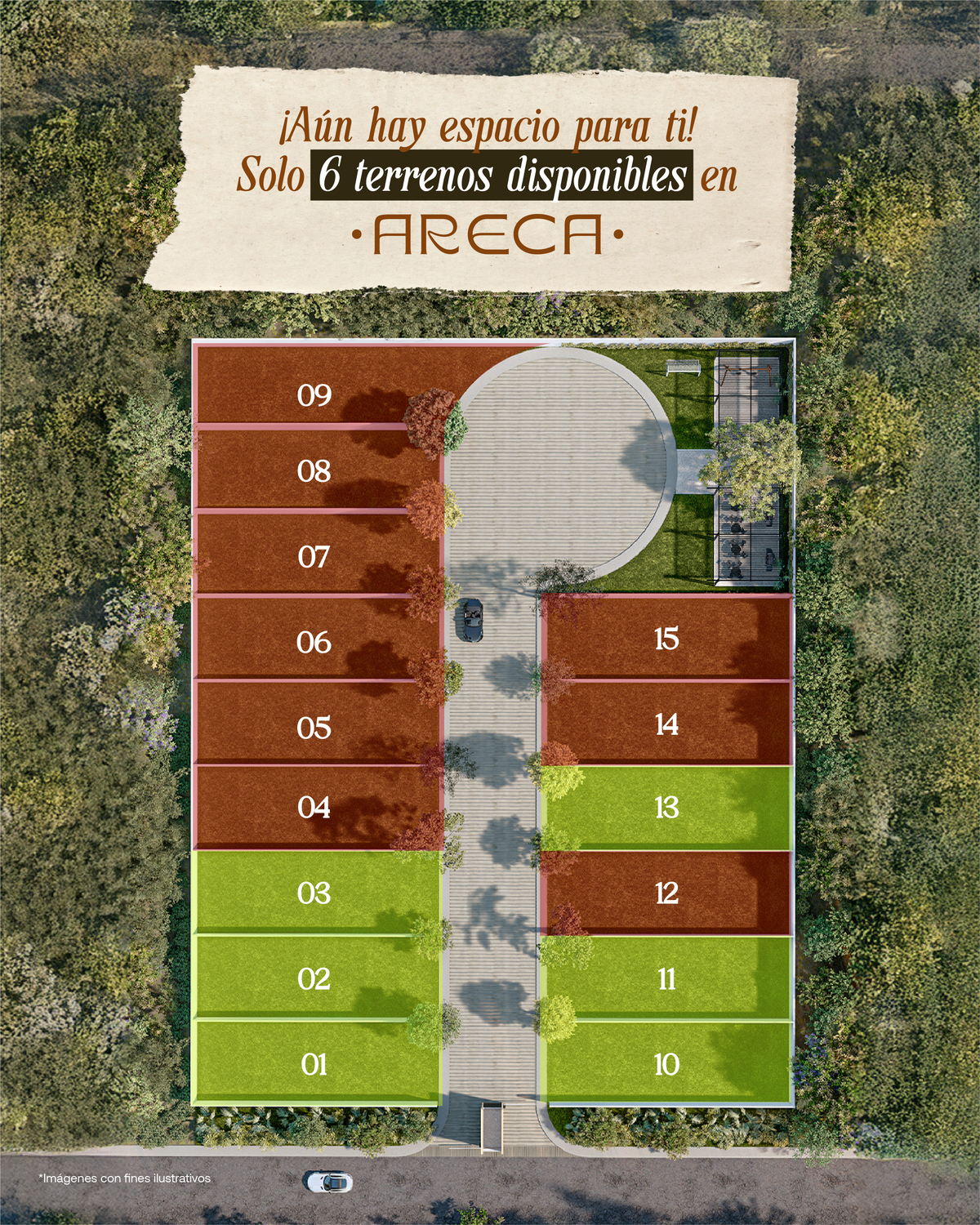 2 de 6