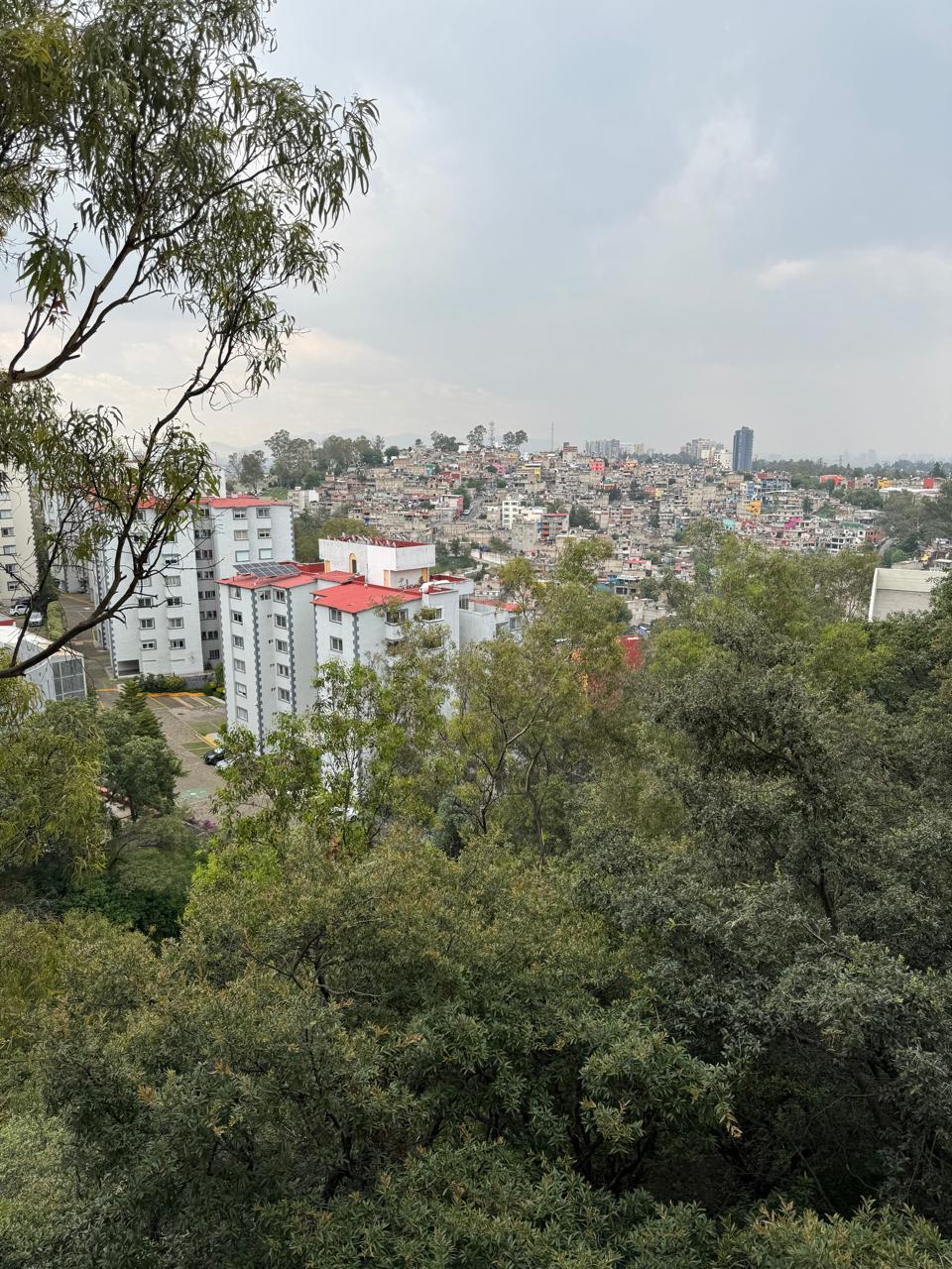 7 de 20