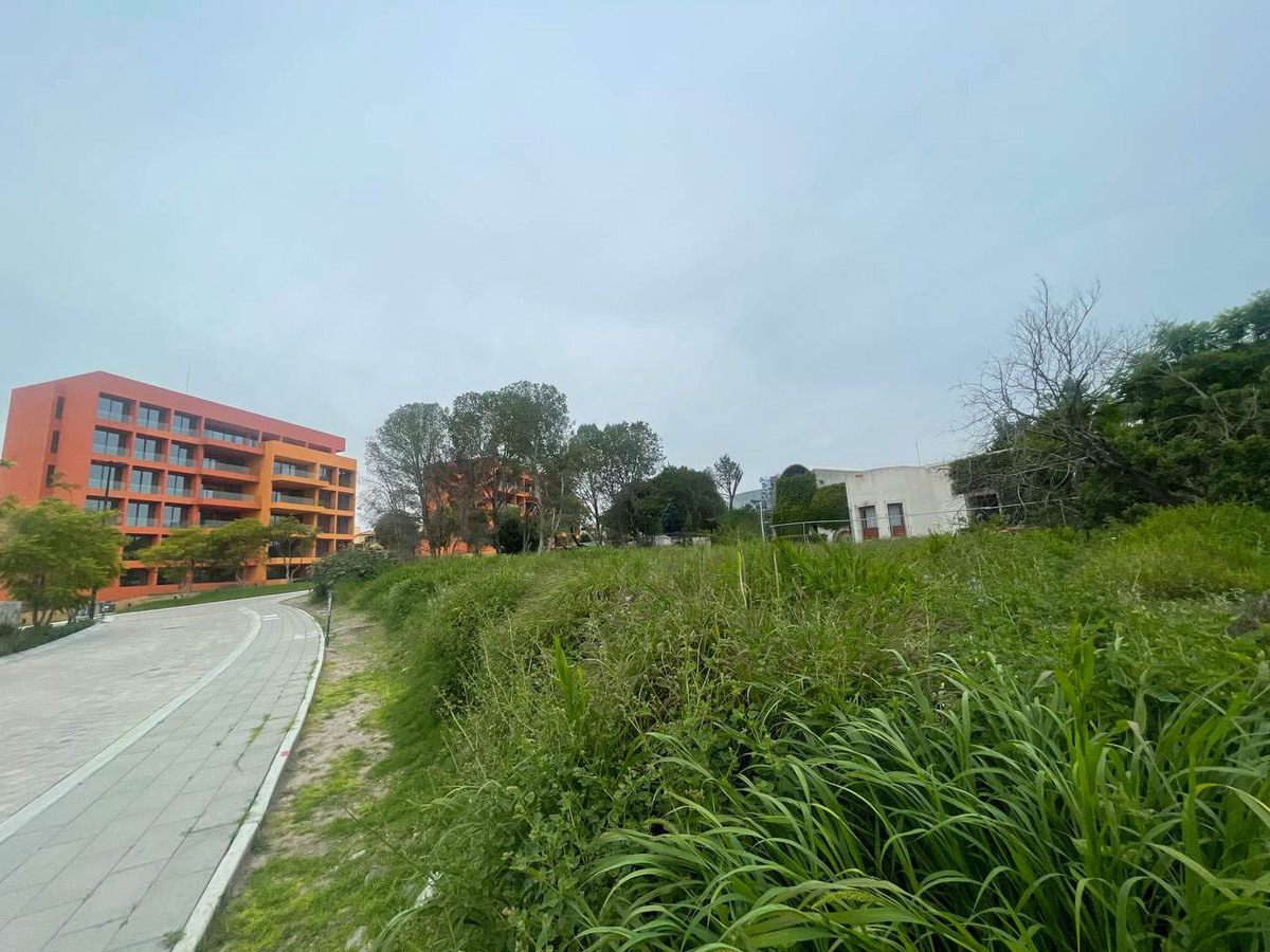 4 de 6