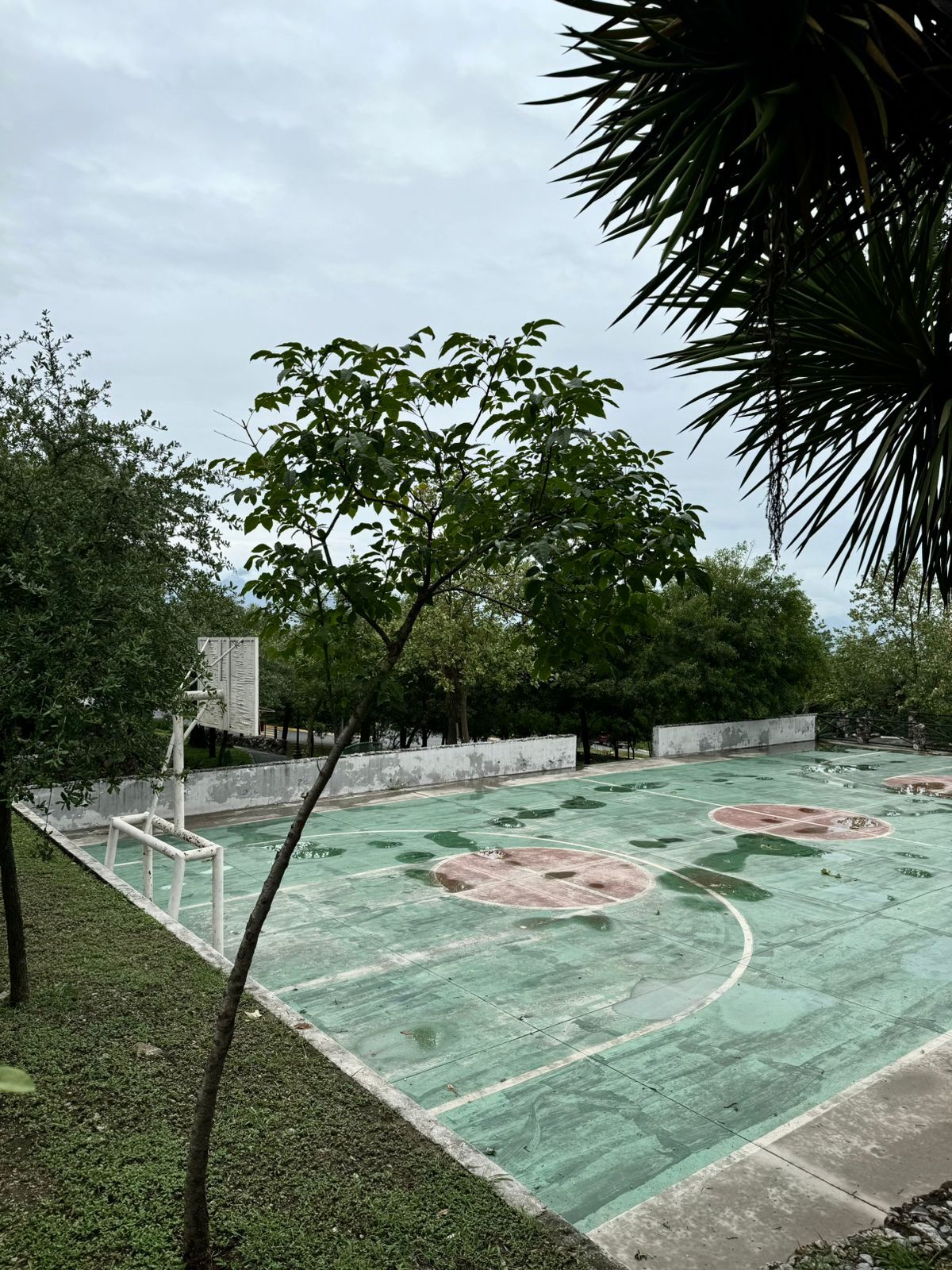 5 de 6