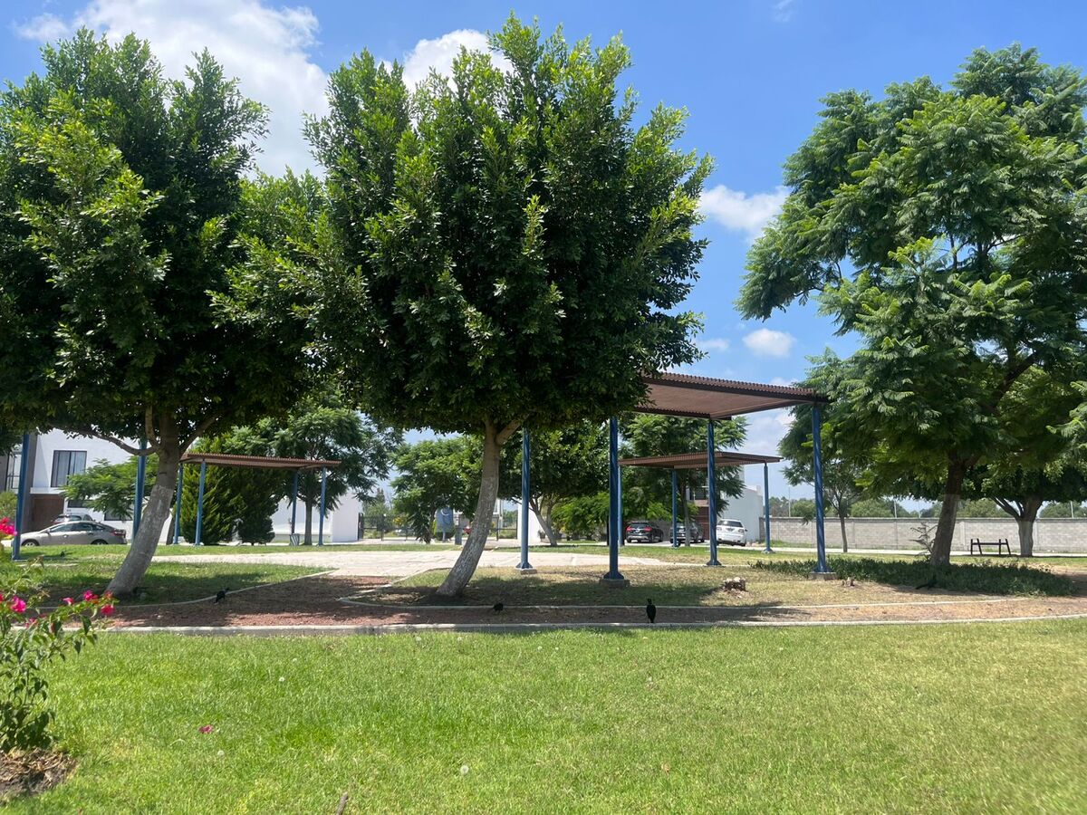 6 de 6