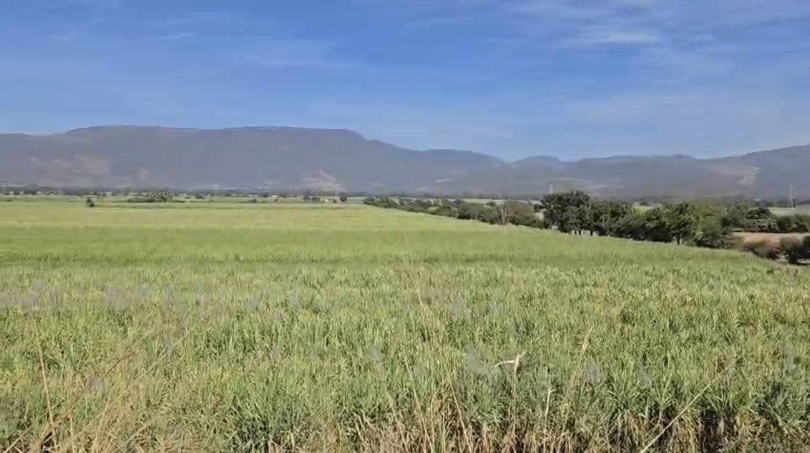 2 de 3