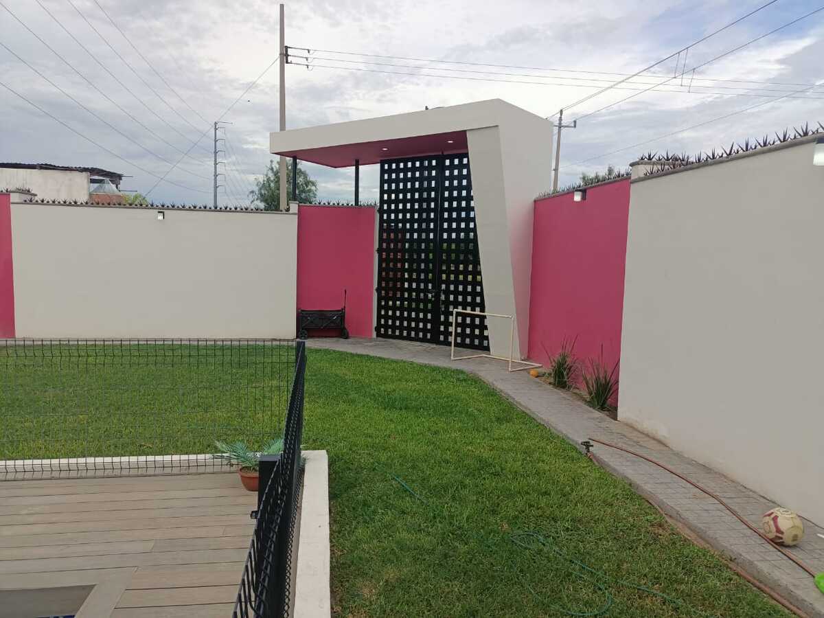 5 de 12