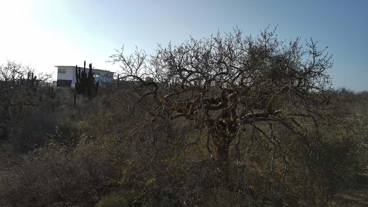 4 de 15