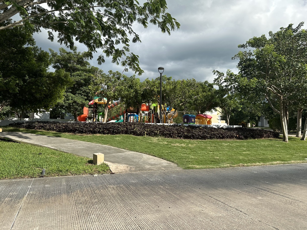 5 de 15