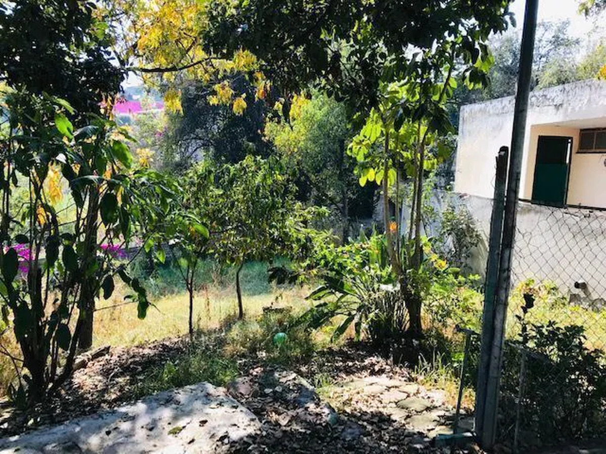 4 of 11