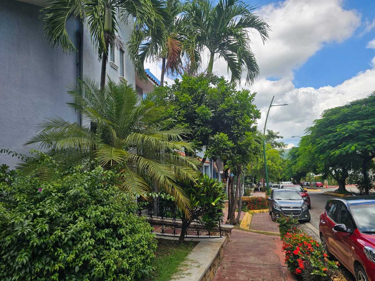 4 de 19: Vista hermosa de la calle arbolada