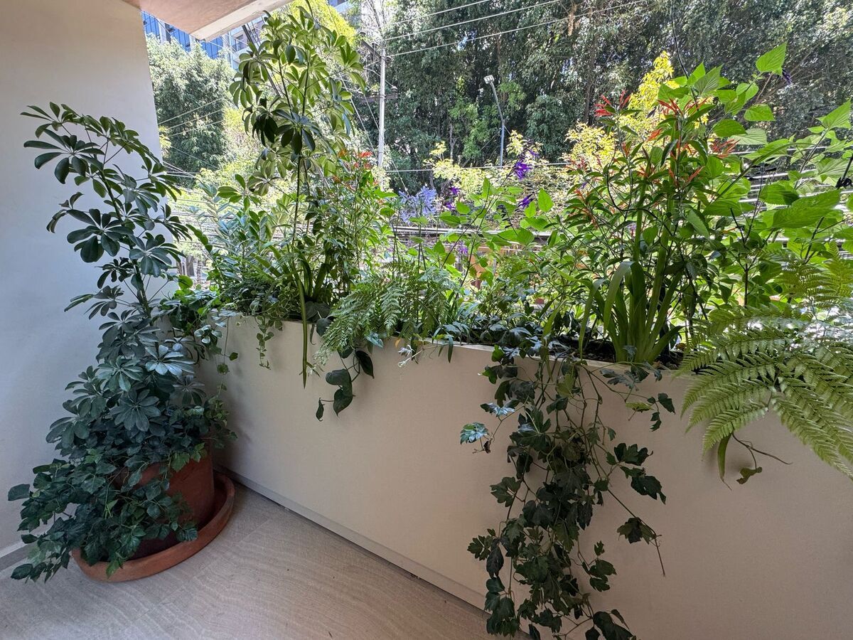37 de 40