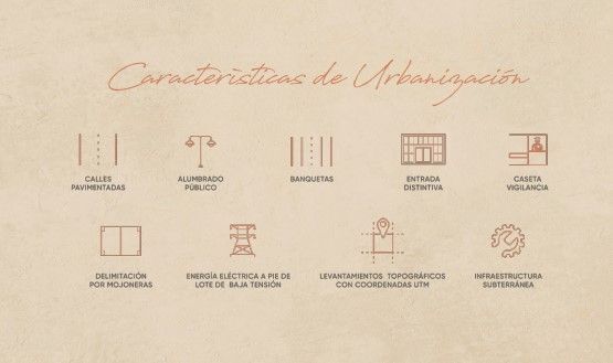 10 de 11
