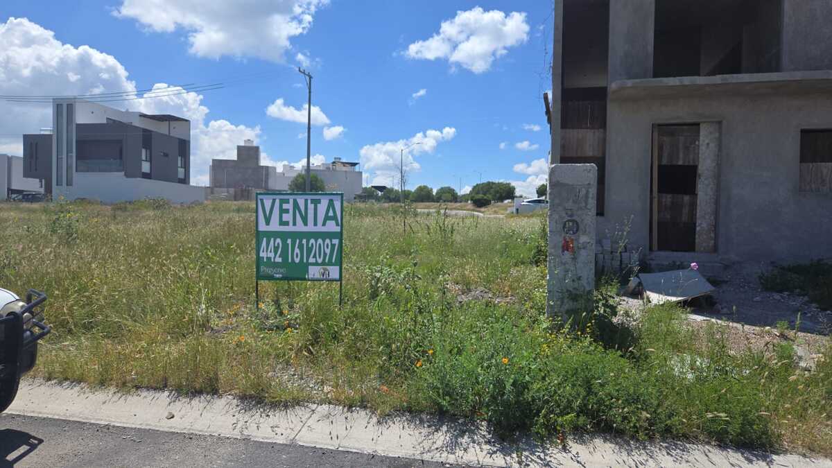 1 de 16