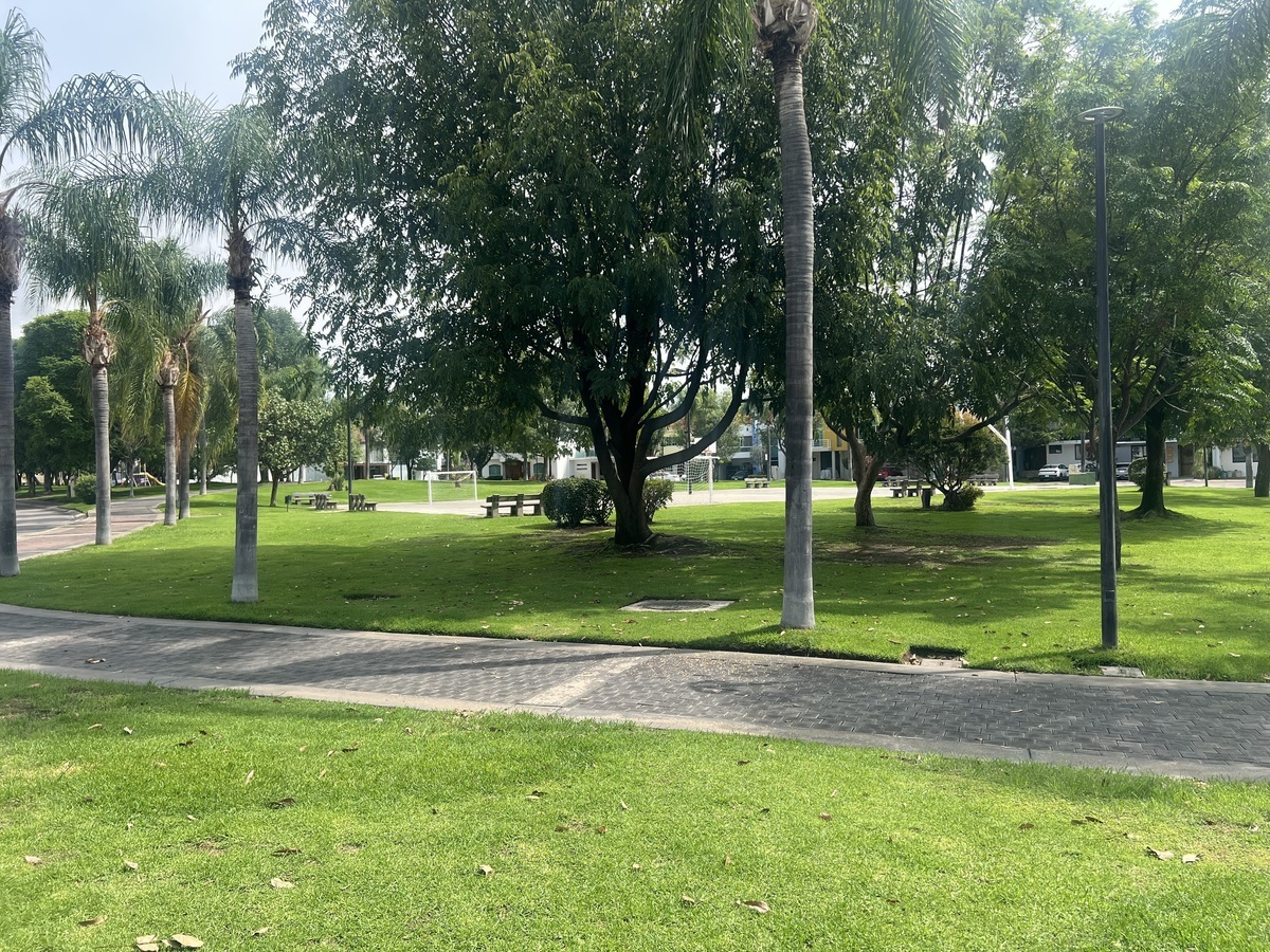 12 de 12