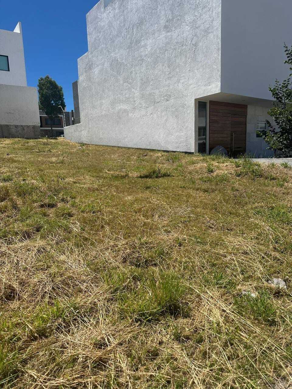 1 de 8